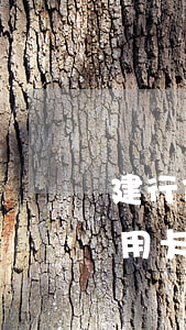 建行信用卡逾期怎么還本金，如何償還建行信用卡逾期的本金？